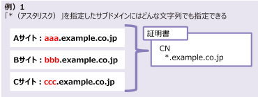 「*（アスタリスク）」を指定したサブドメインにはどんな文字列でも指定できる