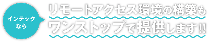 インテックではリモートアクセスの環境構築も提供